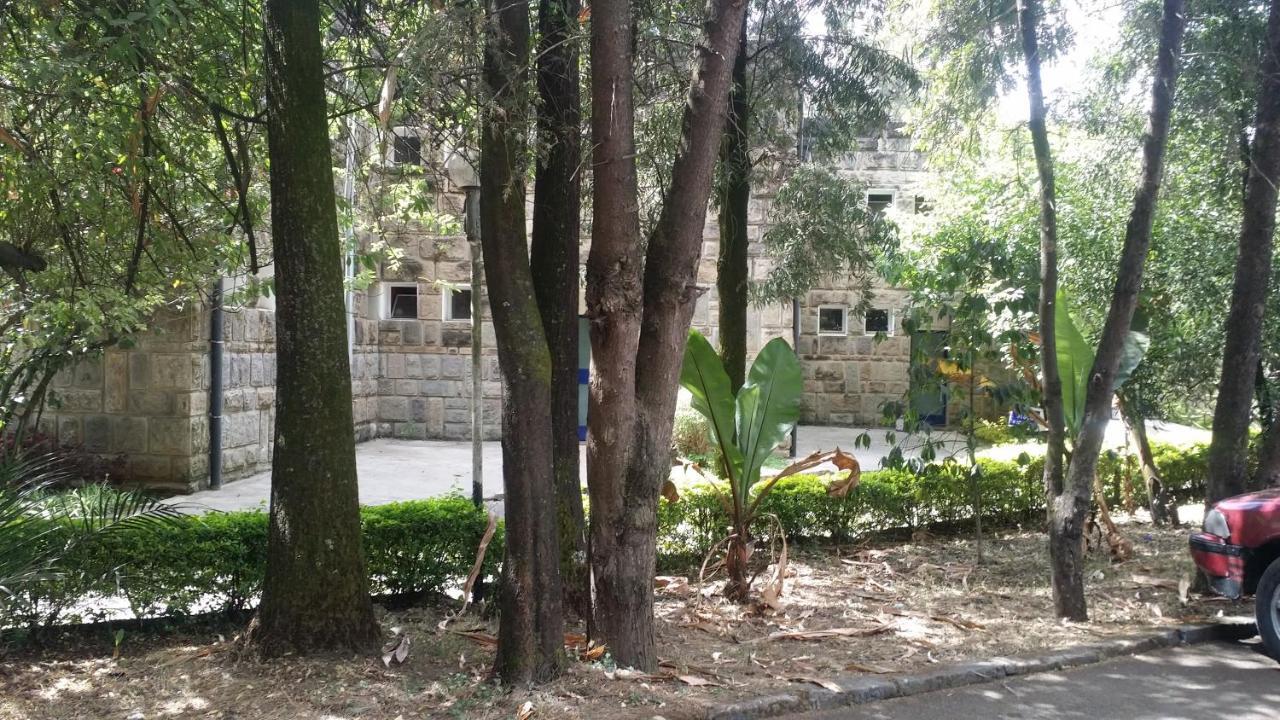 Ghion Hotel Адис Абеба Екстериор снимка